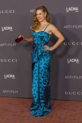 Amy Adams Poster 2856180