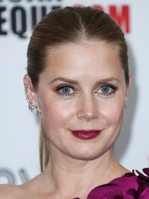 Amy Adams Poster 2856186