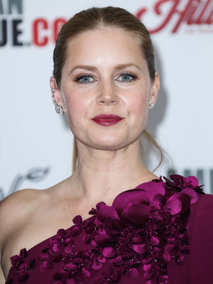 Amy Adams Poster 2856358