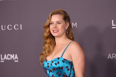 Amy Adams Poster 2856412