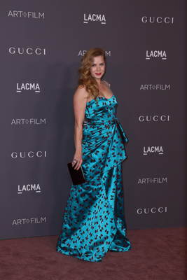 Amy Adams Poster 2856436