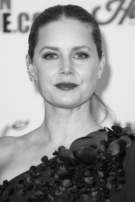 Amy Adams Poster 2856530