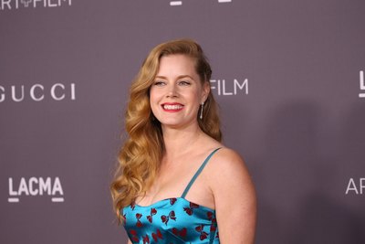 Amy Adams Poster 2856548
