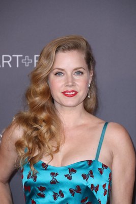 Amy Adams Poster 2856557