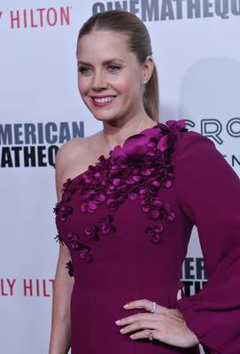 Amy Adams Poster 2856580