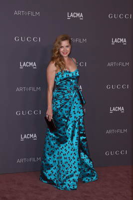 Amy Adams Poster 2856616