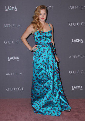 Amy Adams Poster 2856710