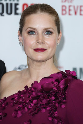 Amy Adams Poster 2856737
