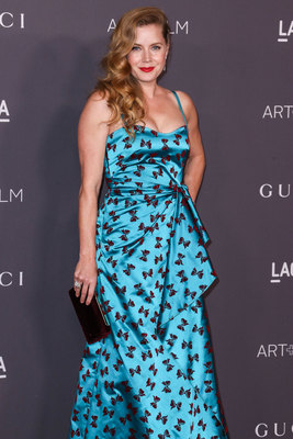 Amy Adams Poster 2856782
