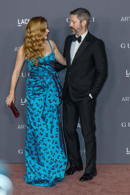 Amy Adams Poster 2856807