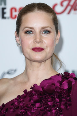 Amy Adams Poster 2856825