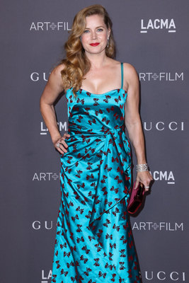 Amy Adams Poster 2856893