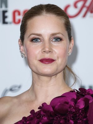 Amy Adams Poster 2856908
