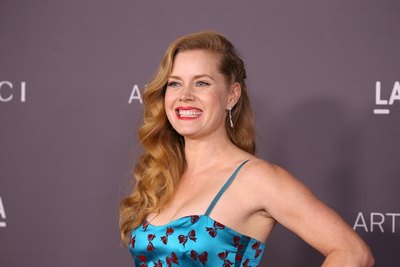 Amy Adams Poster 2856919