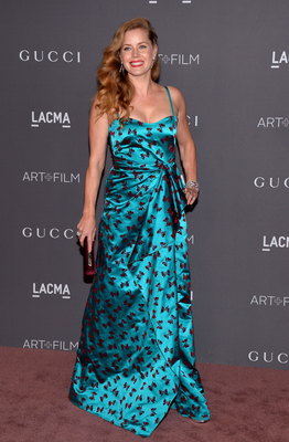 Amy Adams Poster 2856978