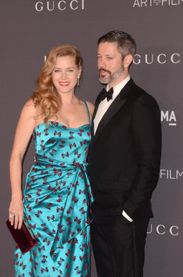 Amy Adams Poster 2857046