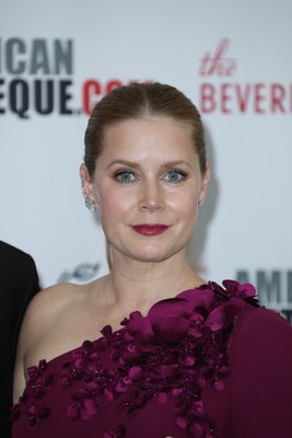 Amy Adams Poster 2857098