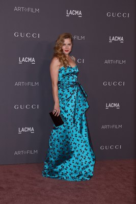 Amy Adams Poster 2857107