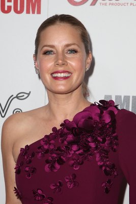 Amy Adams Poster 2857109