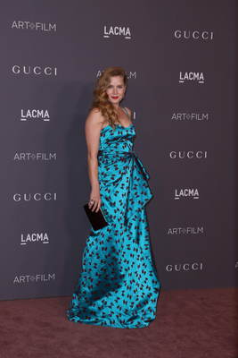 Amy Adams Poster 2857133