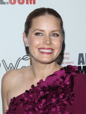 Amy Adams Poster 2857149