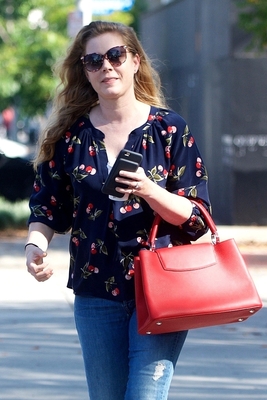 Amy Adams Poster 3000191