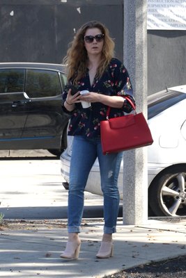 Amy Adams Poster 3096826