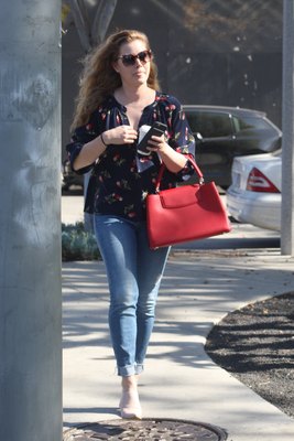 Amy Adams Poster 3096838