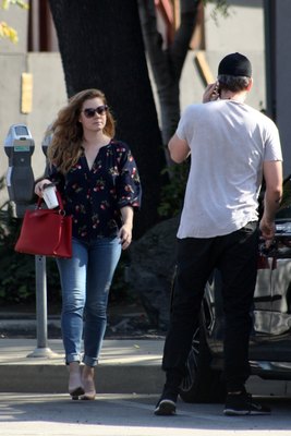 Amy Adams Poster 3096848
