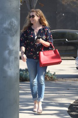 Amy Adams Poster 3096855