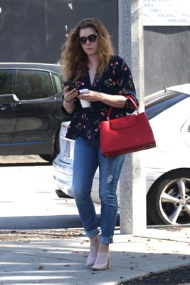 Amy Adams Poster 3096858