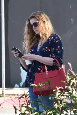 Amy Adams Poster 3096865