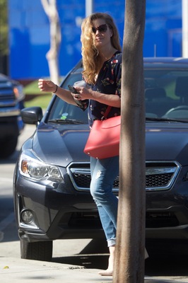 Amy Adams Poster 3096870