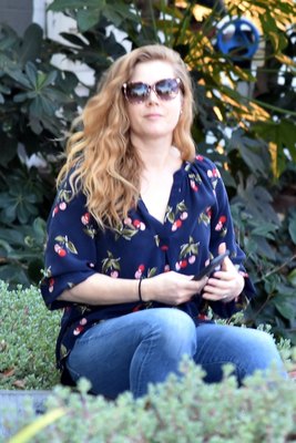 Amy Adams Poster 3096874