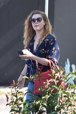 Amy Adams Poster 3096883