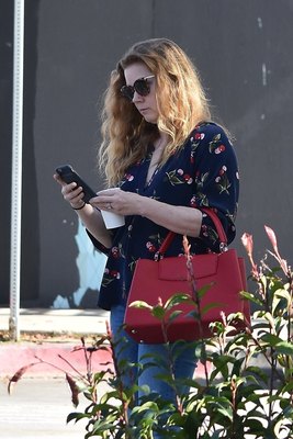 Amy Adams Poster 3096893