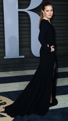 Amy Adams Poster 3146265
