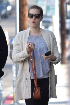 Amy Adams Poster 3161686