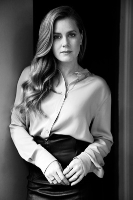 Amy Adams Poster 3664041