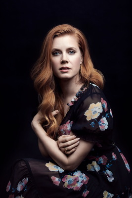 Amy Adams Poster 3664044