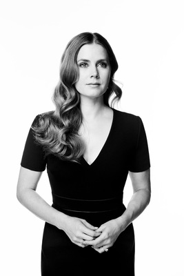 Amy Adams Poster 3664047