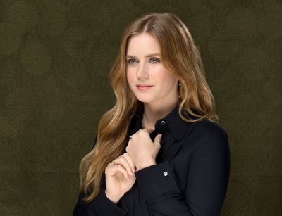 Amy Adams Poster 3664048
