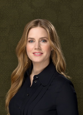 Amy Adams Poster 3664055