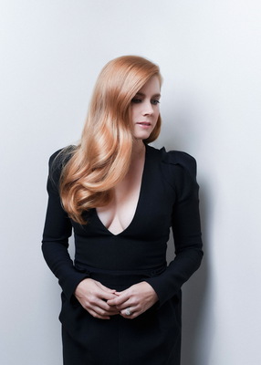 Amy Adams Poster 3677567