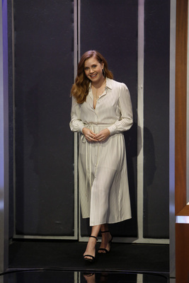 Amy Adams Poster 3718870