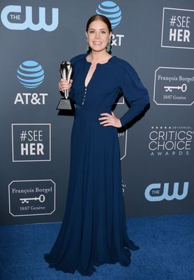 Amy Adams Poster 3767420