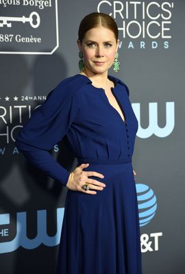 Amy Adams Poster 3767460