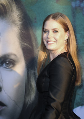 Amy Adams Poster 3780840
