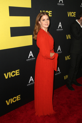 Amy Adams Poster 3780914