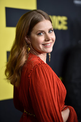 Amy Adams Poster 3780946